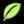 grass icon